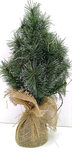 Picture of Glendon christmas tree/bulrap led battery operated