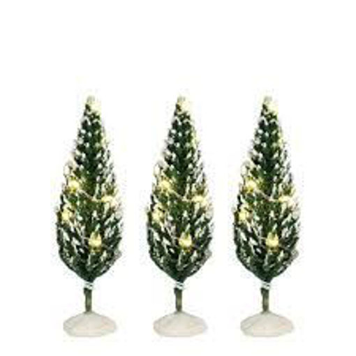 Picture of Snowy conifer lighted 3 pcs