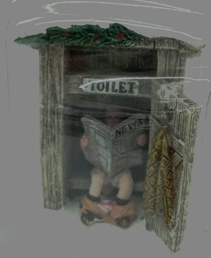 Picture of Wooden outdoor toilet