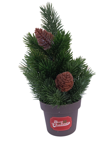 Picture of Christmas  tree pine cone green