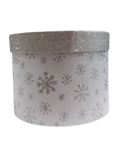 Picture of Box For Gift 17x17cm Silver Snowflake Edelman