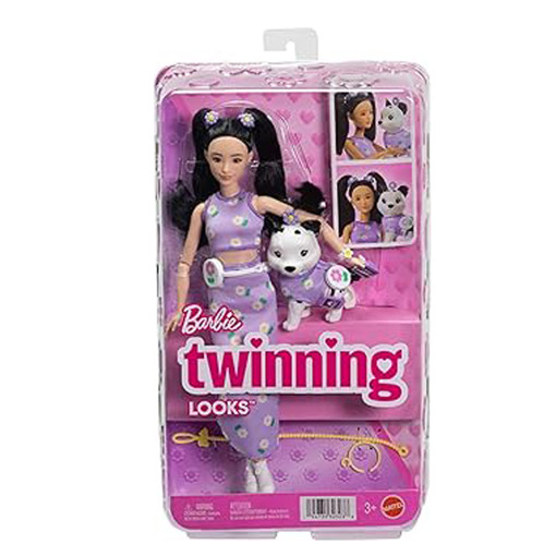 Picture of Barbie Twinning Looks Mattel