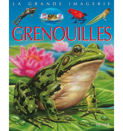 Picture of La Grande Imagerie  Les Grenouilles