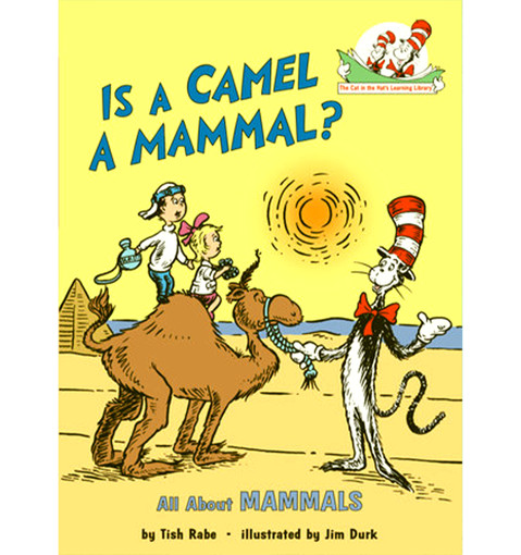 Picture of Cat In The Hat, Is A Camel A Mammal