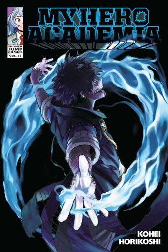 Picture of My Hero Academia V.30