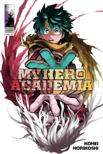 Picture of My Hero Academia V.35