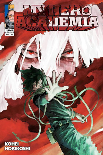 Picture of My Hero Academia V.28