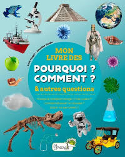 Picture of Mon Livre Des Pourquoi Comment Et Autres Questions
