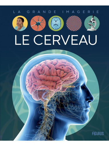 Picture of La Grande Imagerie Le Cerveau