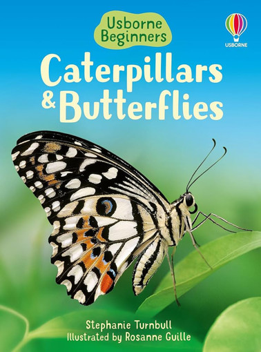 Picture of Catterpillars And Butterflies  Usborne