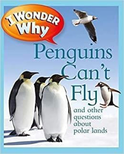 Picture of I Wonder Why Penguins Can't Fly