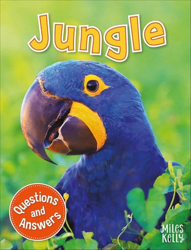 Picture of Jungle Questions and Answers Miles Kelly