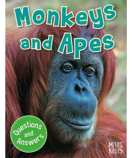 Picture of Monkeys and Apes Questions and Answers Miles Kelly