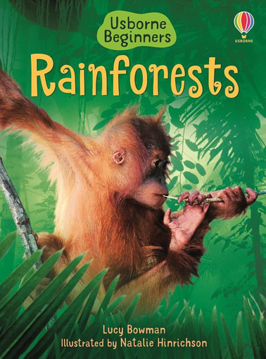 Picture of Rainforests Usborne