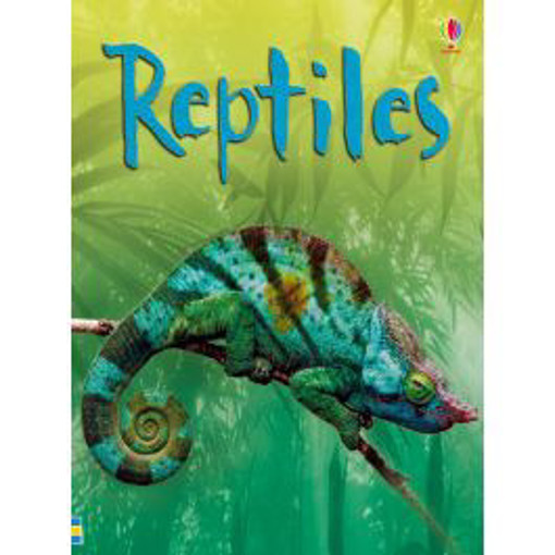 Picture of Reptiles Usborne