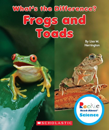 Picture of What's The Difference? Frogs And Toads