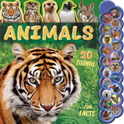 Picture of 20 Sounds Animals Fun Facts Igloo