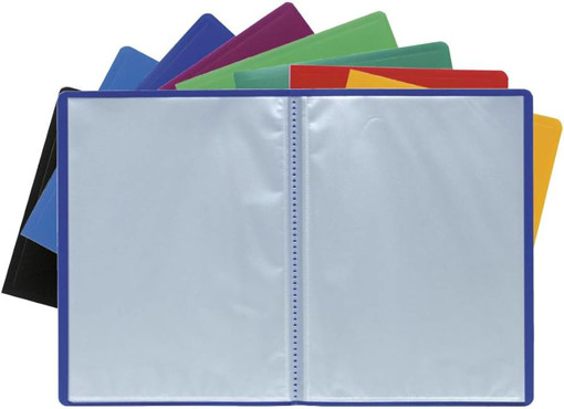 Picture of Clear book A4 50pockets Exacompta