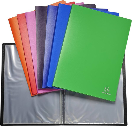 Picture of Clear Book A4 60pockets Exacompta