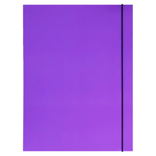 Picture of Elastic File B4 Purple 380gr Cardboard Bassile