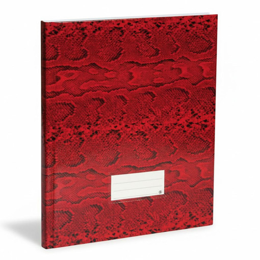 Picture of Office Book 22X32cm 96 Sheets 60gr 3 Columns Extra