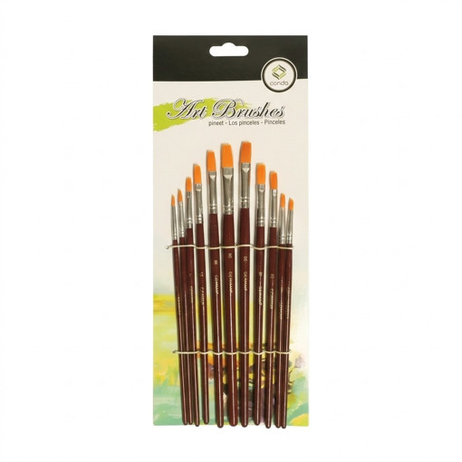 Picture of Brush (Set of 11) Flat Conda