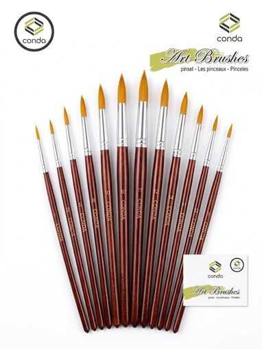 Picture of Brush (Set of 12) Round Conda