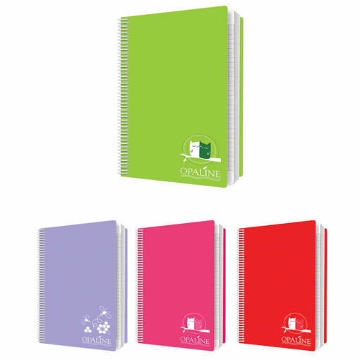 Picture of Spiral Copybook A4 Quadrilled 96sheets 70gr Opalin