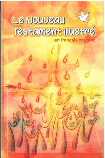Picture of Spiritual Books French ,Nouveau Testament Illustre