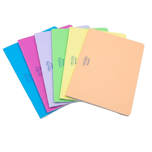 Picture of Stitched Copybook 17x22 2Line/1Line 48sheets 70gr