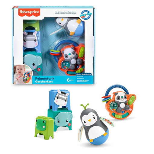 Picture of Fisher price play kit skill builder