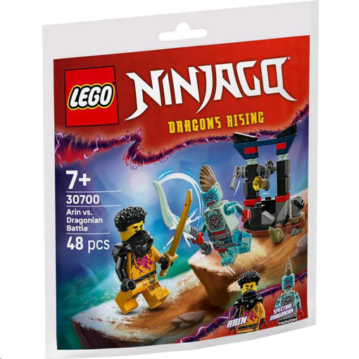 Picture of Lego Ninjago Lego,Arin Vs Dragonian Battle
