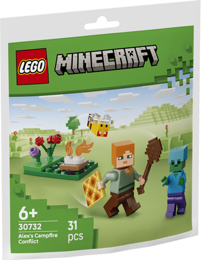 Picture of Lego Minecraft ,Alex Camfire Conflict