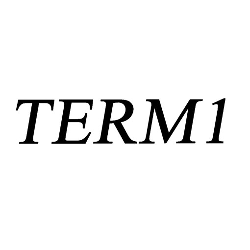 Picture of TERM 1