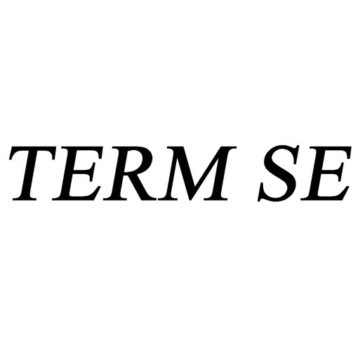 Picture of TERM SE