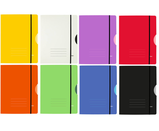 Picture of Elastic File A4 Asstd.clrs Carton Stylex