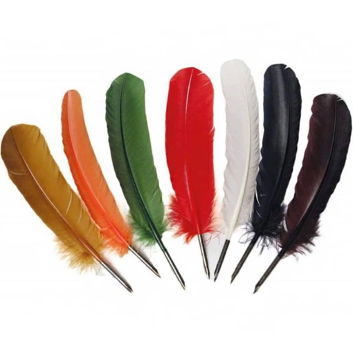 Picture of Pen Quill Colored Feather Manuscript